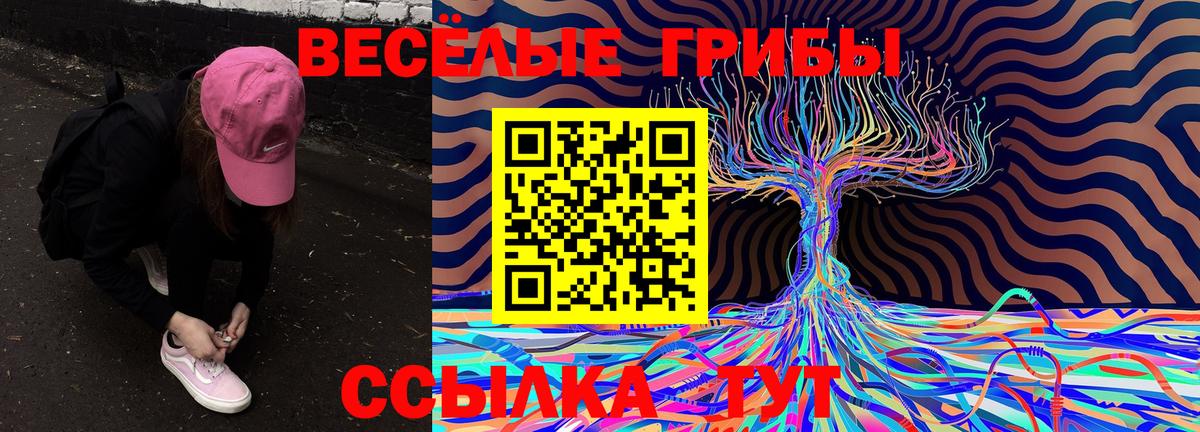 Псилоцибиновые грибы Psilocybe Севастополь