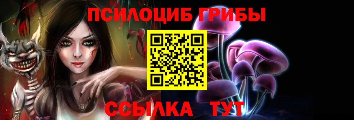 Галлюциногенные грибы Psilocybine cubensis  Вход с VPN  Севастополь 